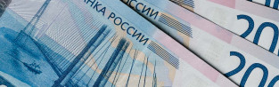 Аналитики назвали самые высокооплачиваемые в РФ сферы по итогам октября