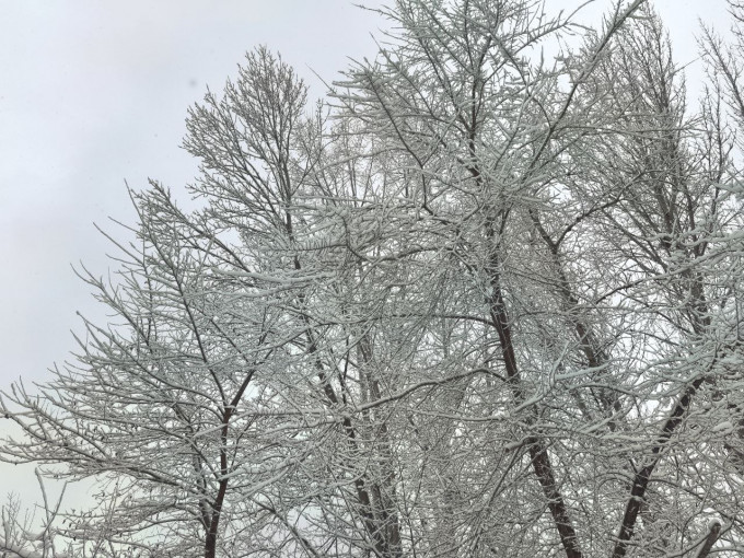 В ХМАО на выходных температура будет варьироваться от 0 до -21 градуса