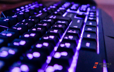 В МВД тюменцам раскрыли самые частые ошибки жертв мошенников