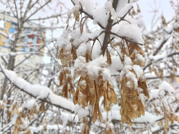 В ХМАО похолодает почти до -40 градусов