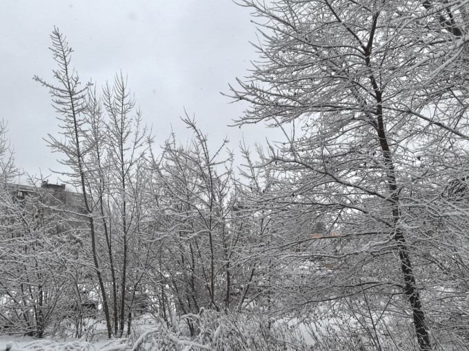 В ХМАО сначала похолодает до -31, а затем потеплеет до +1 градуса