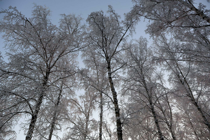 В Ноябрьске ожидаются сильные морозы