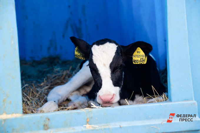 На части тюменского муниципалитета ввели карантин