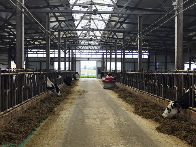 Тюменцы могут получить субсидию на развитие семейных ферм