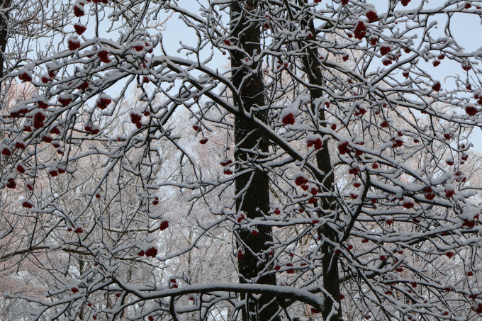 В ХМАО потеплеет до -7 градусов