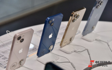 В Свердловской области рассказали, сколько нужно подрабатывать студентам для покупки популярных гаджетов