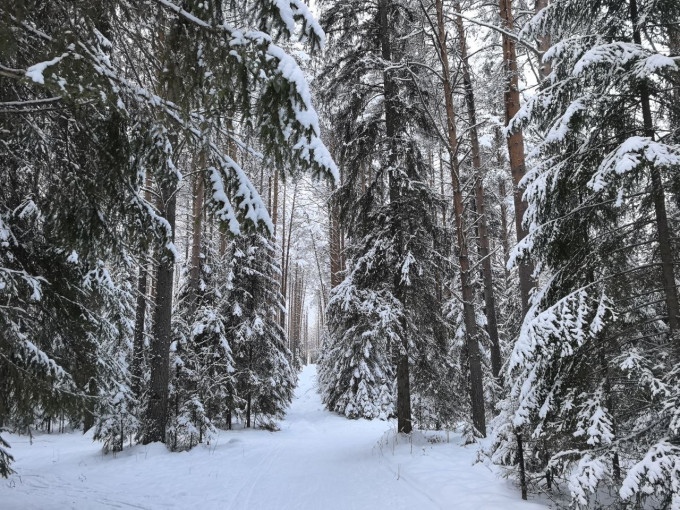 В ХМАО снова похолодает до -42 градусов