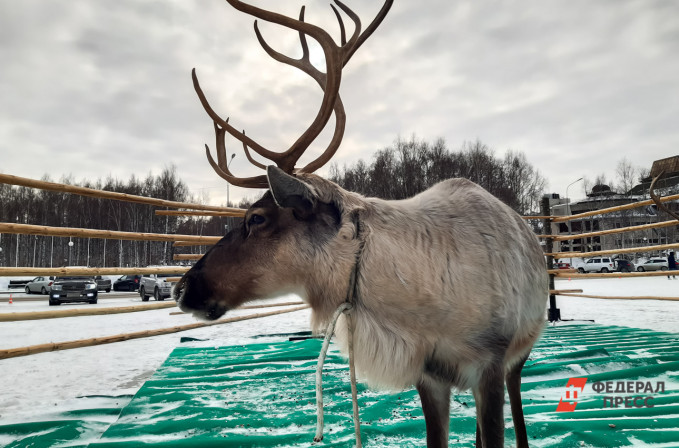 Первый национальный турмаршрут «Месторождение Югра» начнет работу в апреле
