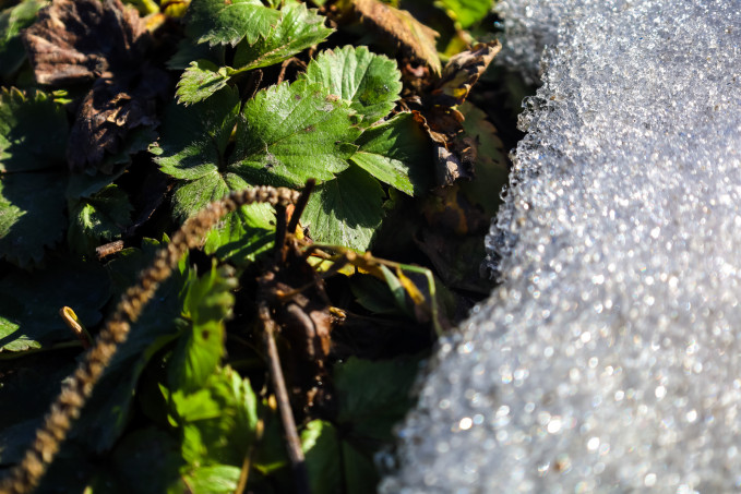 В ХМАО придет потепление до +21 градуса