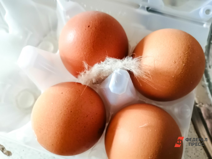 Экономист Холод назвал причину скачка цен на яйца выше 100 рублей
