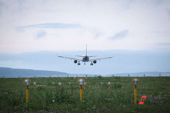 Возле челябинского аэропорта вырубят березы по требованию прокуратуры