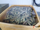 В Челябинской области выставили на торги рыбный комбинат за 150 млн рублей