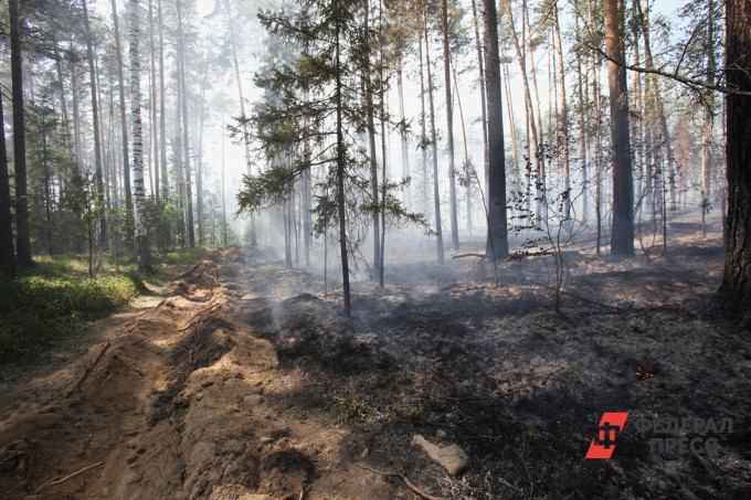 Правительство РФ выделит Тюменской области 186 млн рублей на тушение пожаров