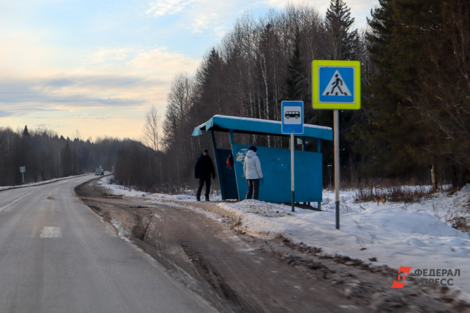 В Челябинске десятки автобусов не удалось завести из-за мороза