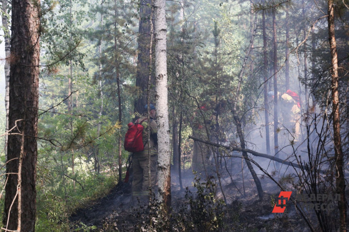 В Свердловской области пожароопасный сезон начнется с 10 апреля