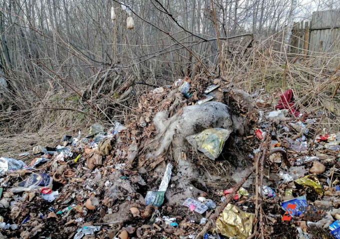 «Атомстройкомплекс» опроверг слухи о причастности к мусорному полигону у Шарташа в Екатеринбурге
