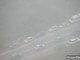 В Свердловской области туман осложнил движение на трассах