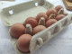 В Свердловской области выросли цены на яйца