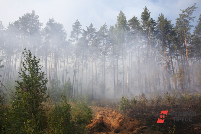 В Челябинской области пожароопасный сезон начнется 5 апреля