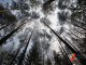 В Свердловской области в мае потушили 39 лесных пожаров