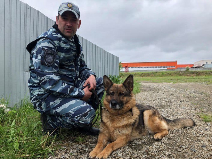 Свердловская полиция организовала поиск двух пропавших в лесу под Байкалово детей