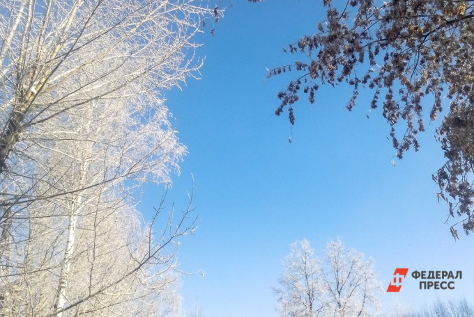 В Кургане из-за непогоды закрыли аэропорт