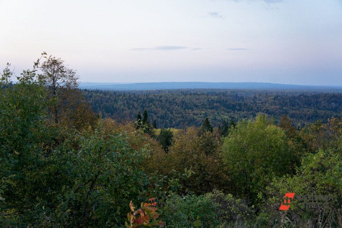 «Мы нажали на спусковой крючок»: Свердловской области грозит экологическая катастрофа