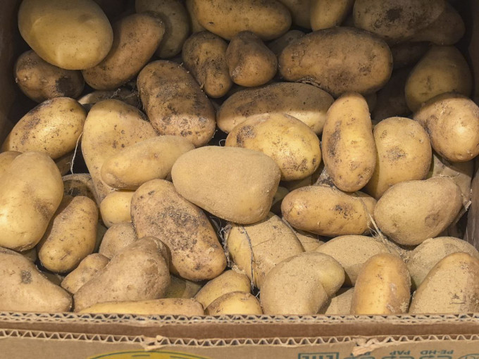 В Свердловской области резко подешевел картофель, но подорожали огурцы