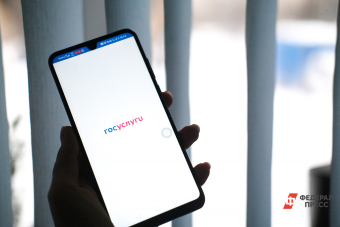 В Челябинской области более 22 тысяч избирателей планируют голосовать дистанционно