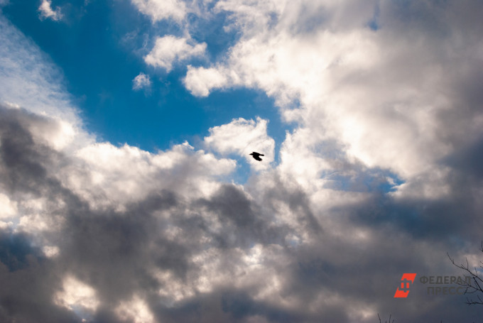 В Челябинской области ожидаются температурные качели от +5 до +25 градусов