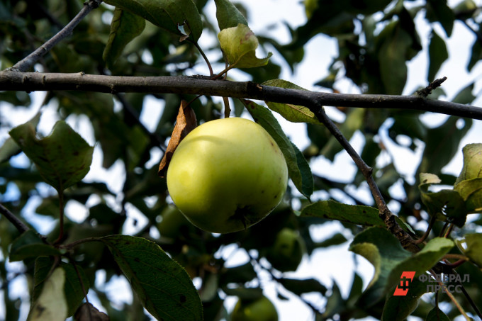 В Свердловской области похолодает до +4 градусов