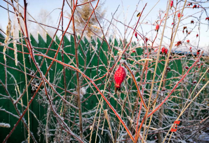 В Челябинской области объявили штормовое предупреждение из-за заморозков