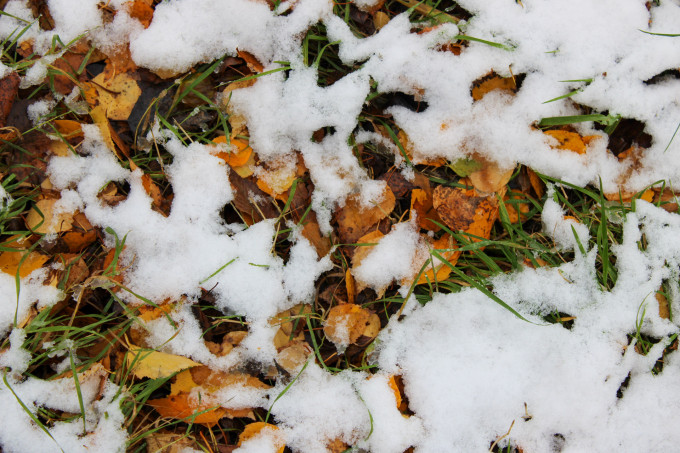 В выходные в Челябинской области пройдет первый снег