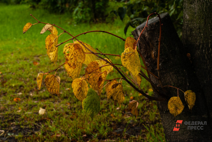 Тепло покидает Екатеринбург до весны