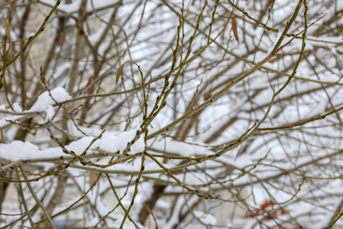 В Свердловской области к концу недели наступит зимняя погода
