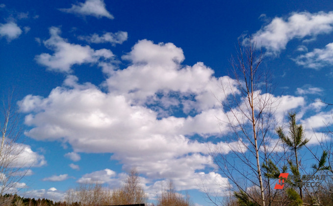 Курганцев предупредили о температурных качелях