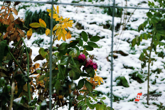 Синоптики рассказали, какая погода в Челябинской области будет в ноябре