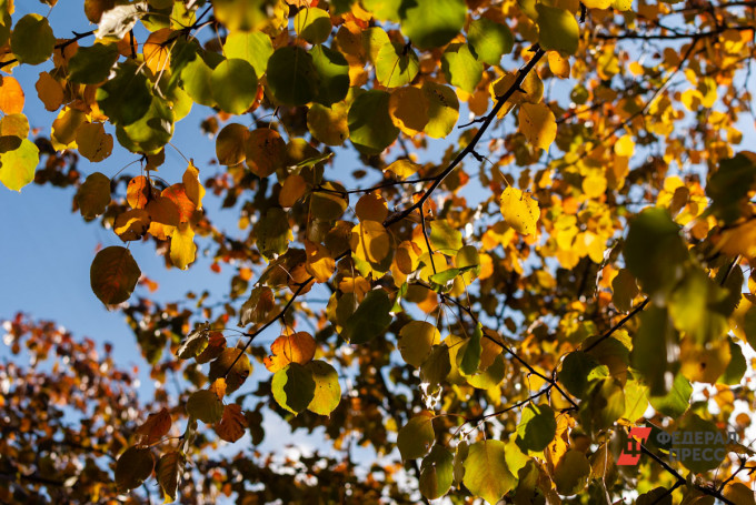 В Кургане ожидаются температурные качели от -7 до +14 градусов
