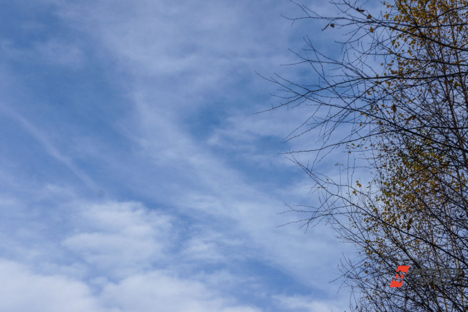 В Екатеринбурге побит почти столетний температурный рекорд