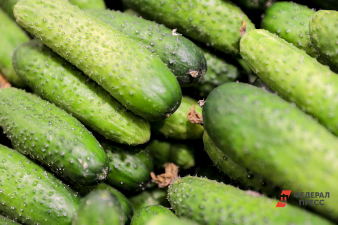В Свердловской области резко подорожали огурцы
