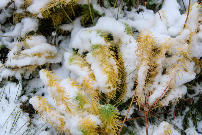 На Челябинскую область надвигается мокрый снег