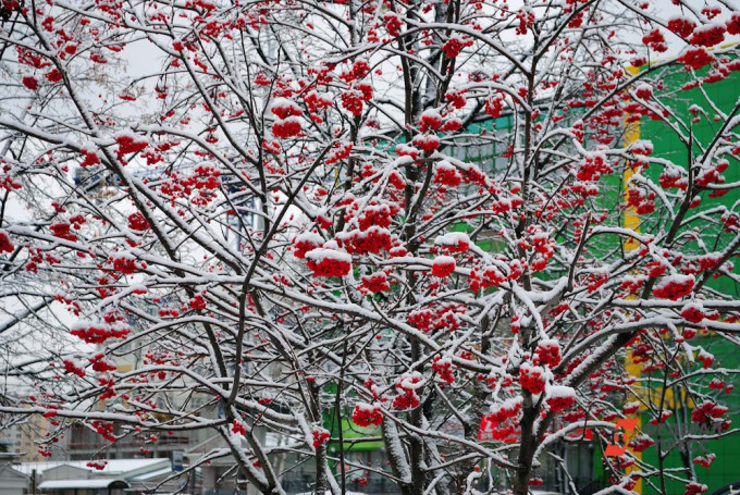 Синоптик Пулин рассказал, какой будет погода в Свердловской области в ближайшие дни