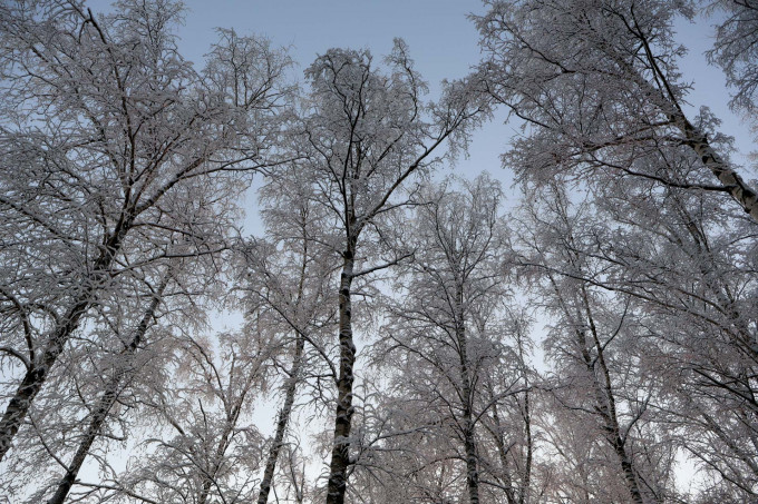 Синоптики рассказали, какая погода будет в Свердловской области в выходные