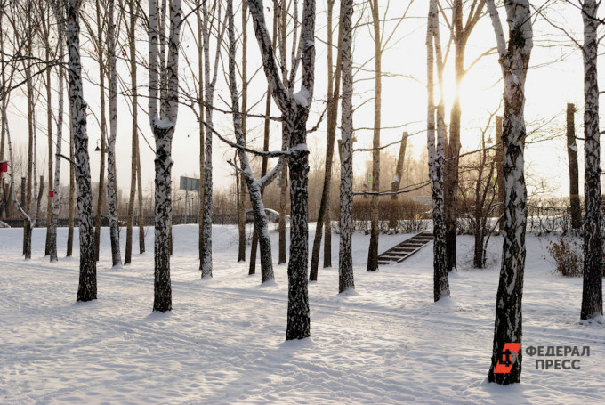 Синоптики рассказали, какая погода в Челябинской области будет в январе