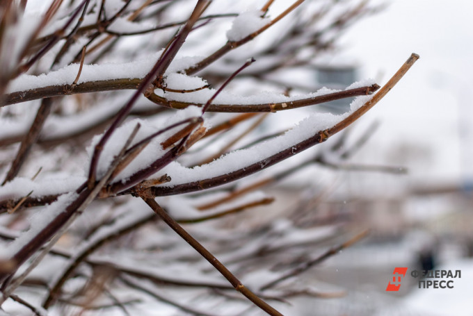 В Челябинской области потеплеет до 0 градусов