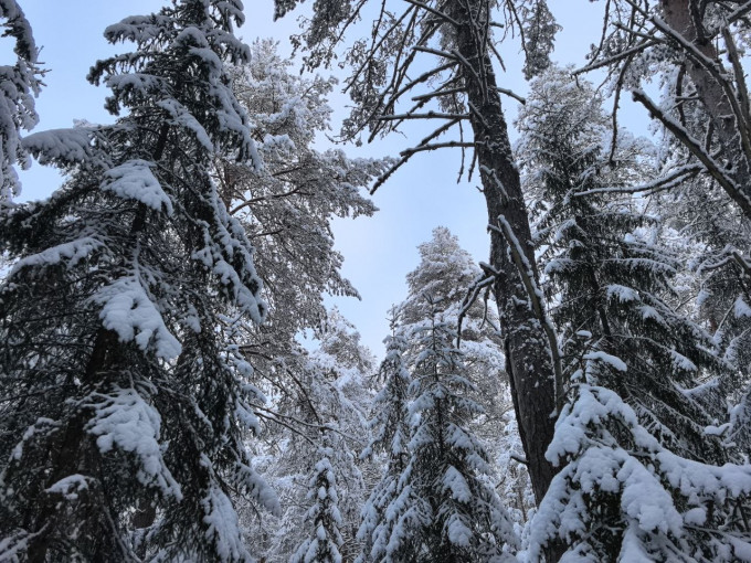 На Курганскую область обрушатся морозы до -43 градусов