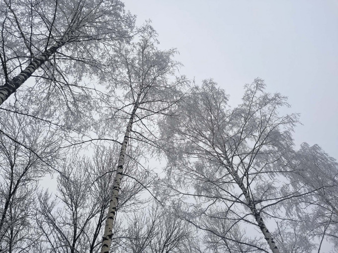 На Тюменскую область обрушатся морозы до -32 градусов