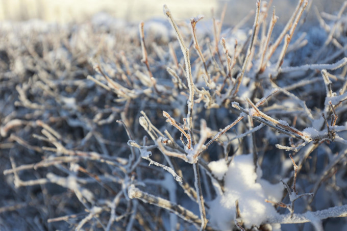 В Курганской области ожидается опасное метеорологическое явление