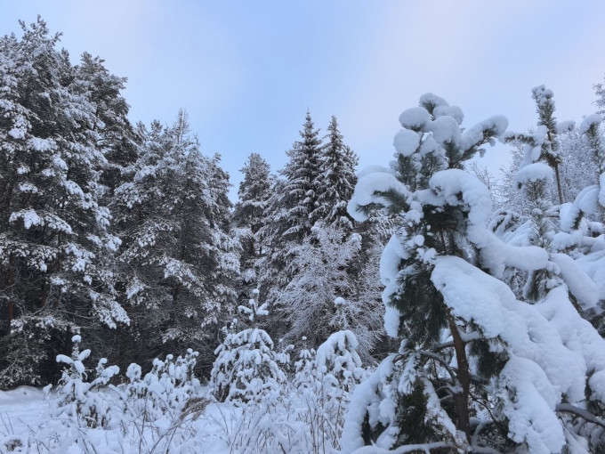 На ХМАО обрушатся морозы до -43 градусов