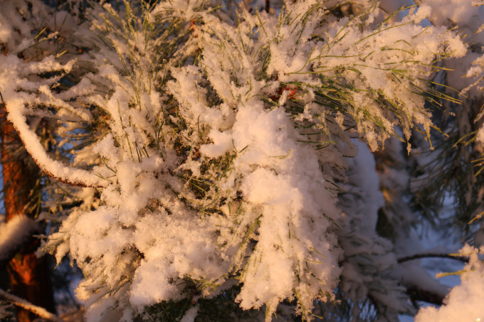 На Свердловскую область надвигаются снегопады